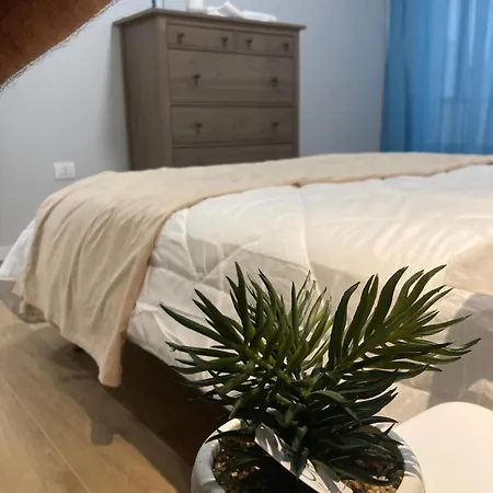 Terracitoreggio Vari * Reggio Calabria